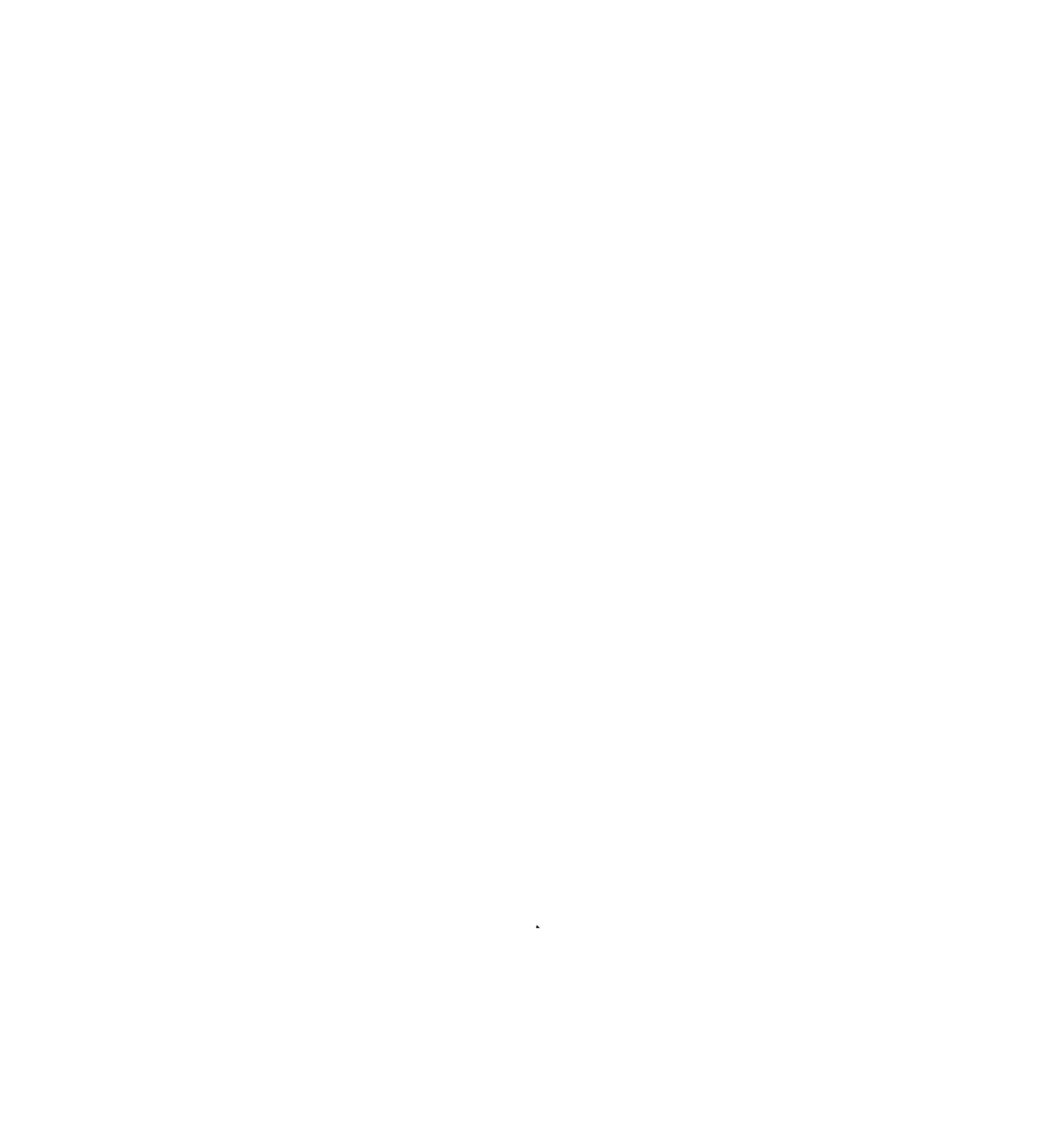 Vigilante Hats